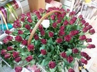 Купить красивый букет в Питере недорого.